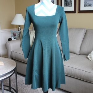 Banana Republic Fit & Flare Dress